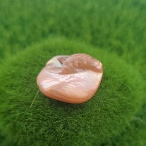 Camel Mother Of Pearl Bead P309